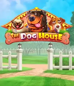 From Pragmatic Play comes The Dog House, bringing you a fun-filled experience into the world of charming canines. Engage in gameplay elements including free spins, perfect for delivering joyful moments. Perfect for animal enthusiasts a cheerful atmosphere and the opportunity to win big.